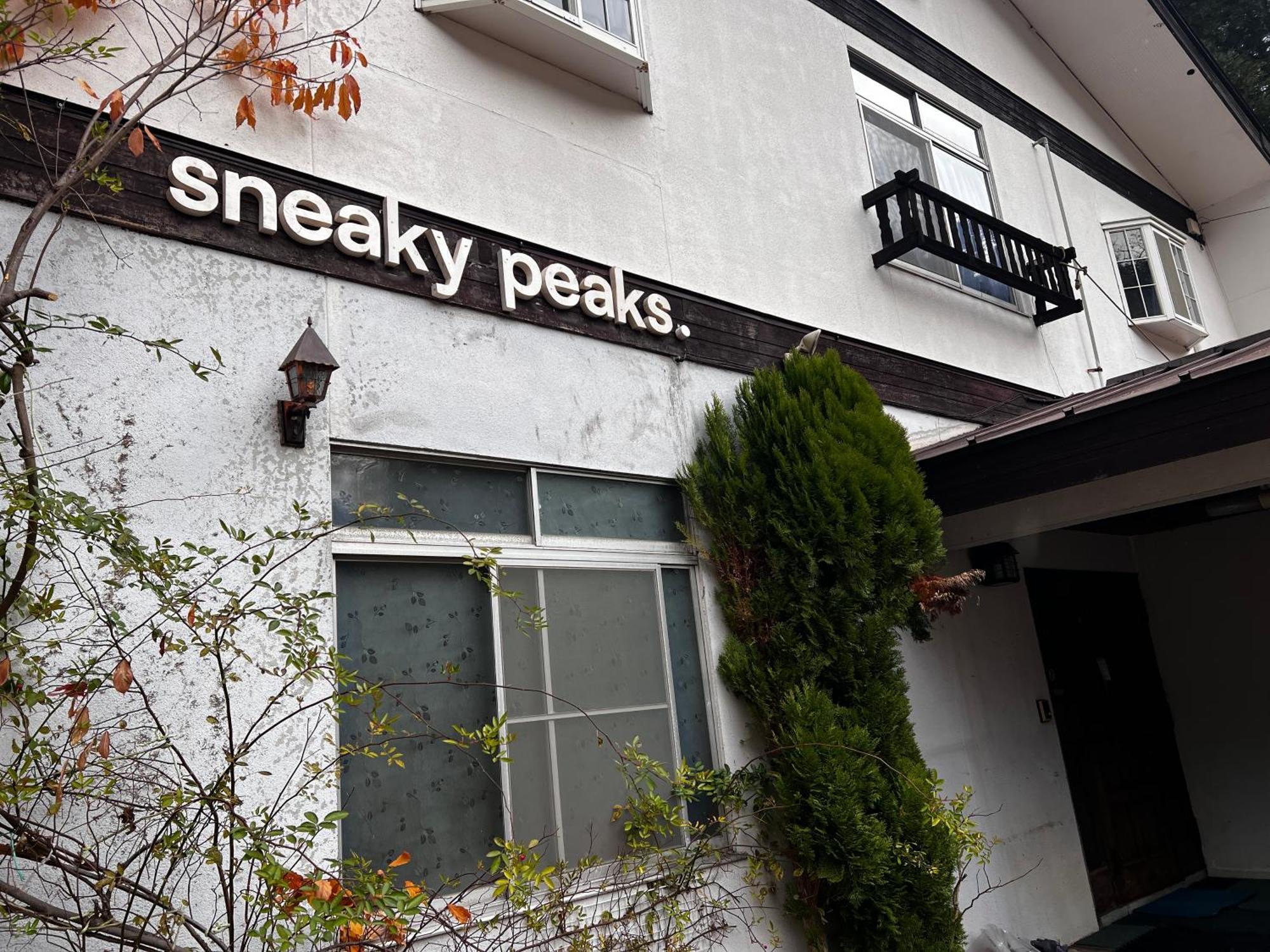 Hotel Sneaky Peaks Hakuba Zewnętrze zdjęcie