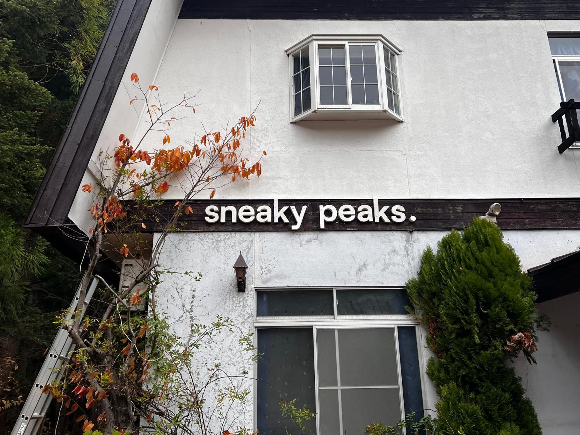 Hotel Sneaky Peaks Hakuba Zewnętrze zdjęcie